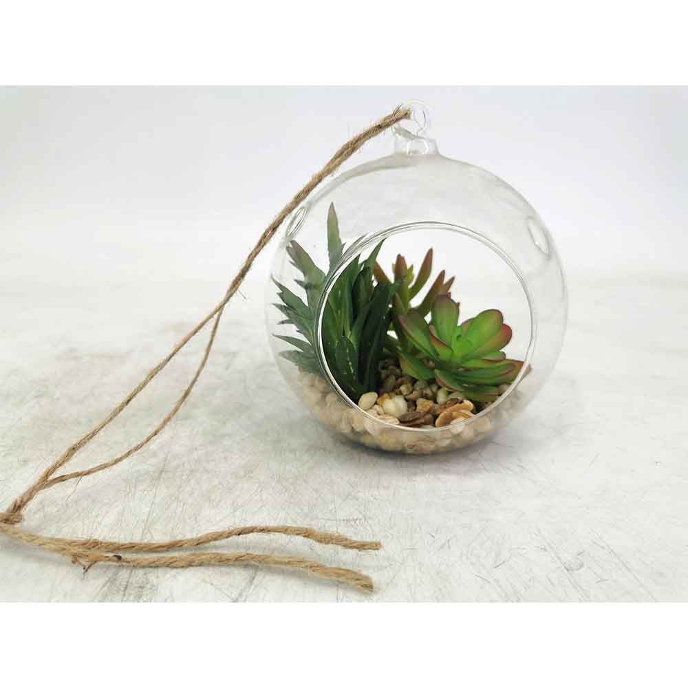 MC15-1165B Mixed succulent