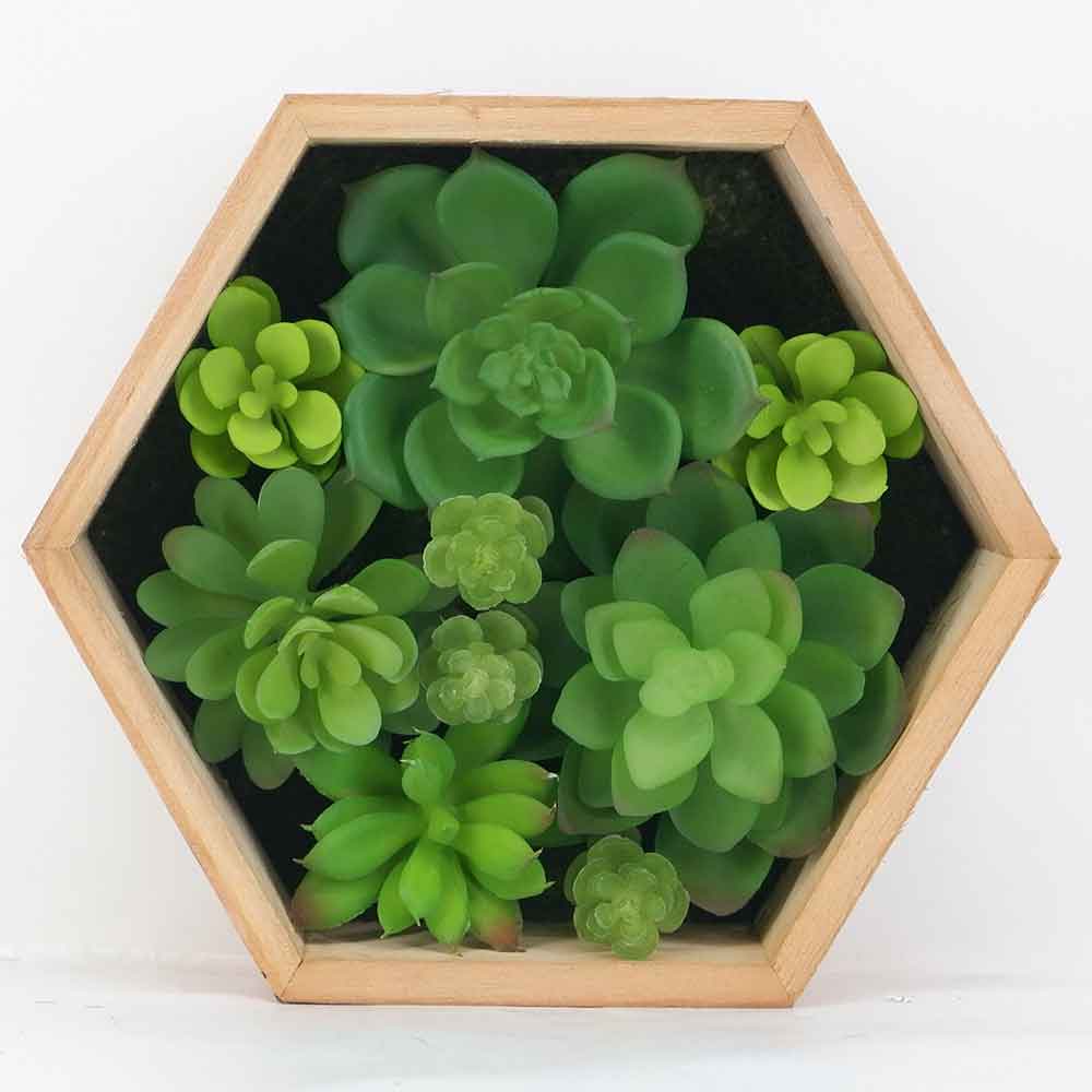 MC18-5723M-GR Mixed succulent