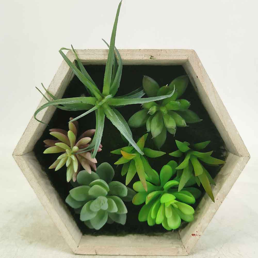 MC18-5723M Mixed succulent