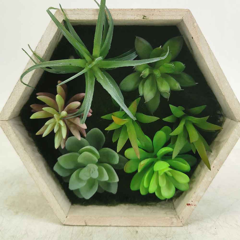 MC18-5723M Mixed succulent