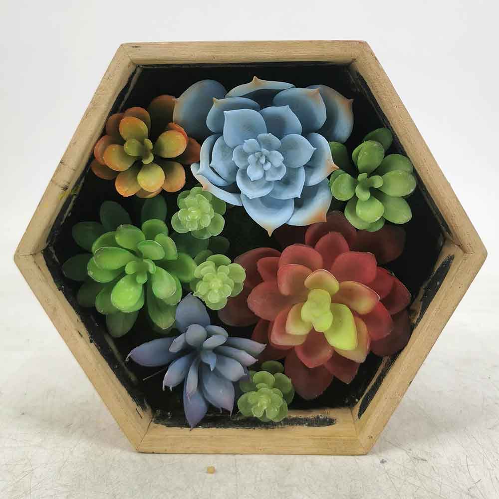 MC18-5723M-MIX Mixed succulent