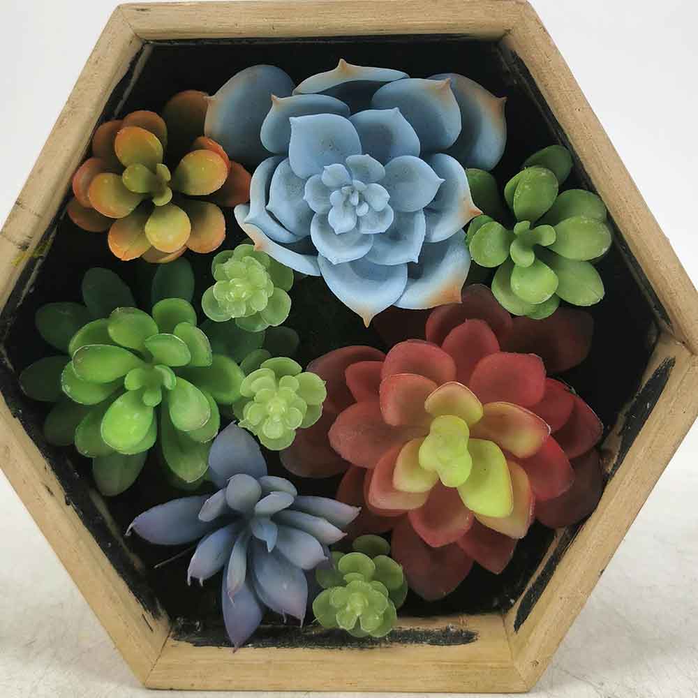 MC18-5723M-MIX Mixed succulent