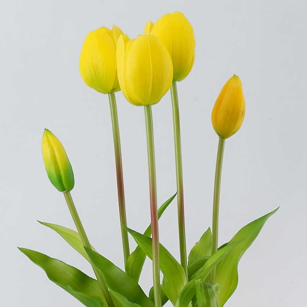 MC22-12118P Tulip in pot