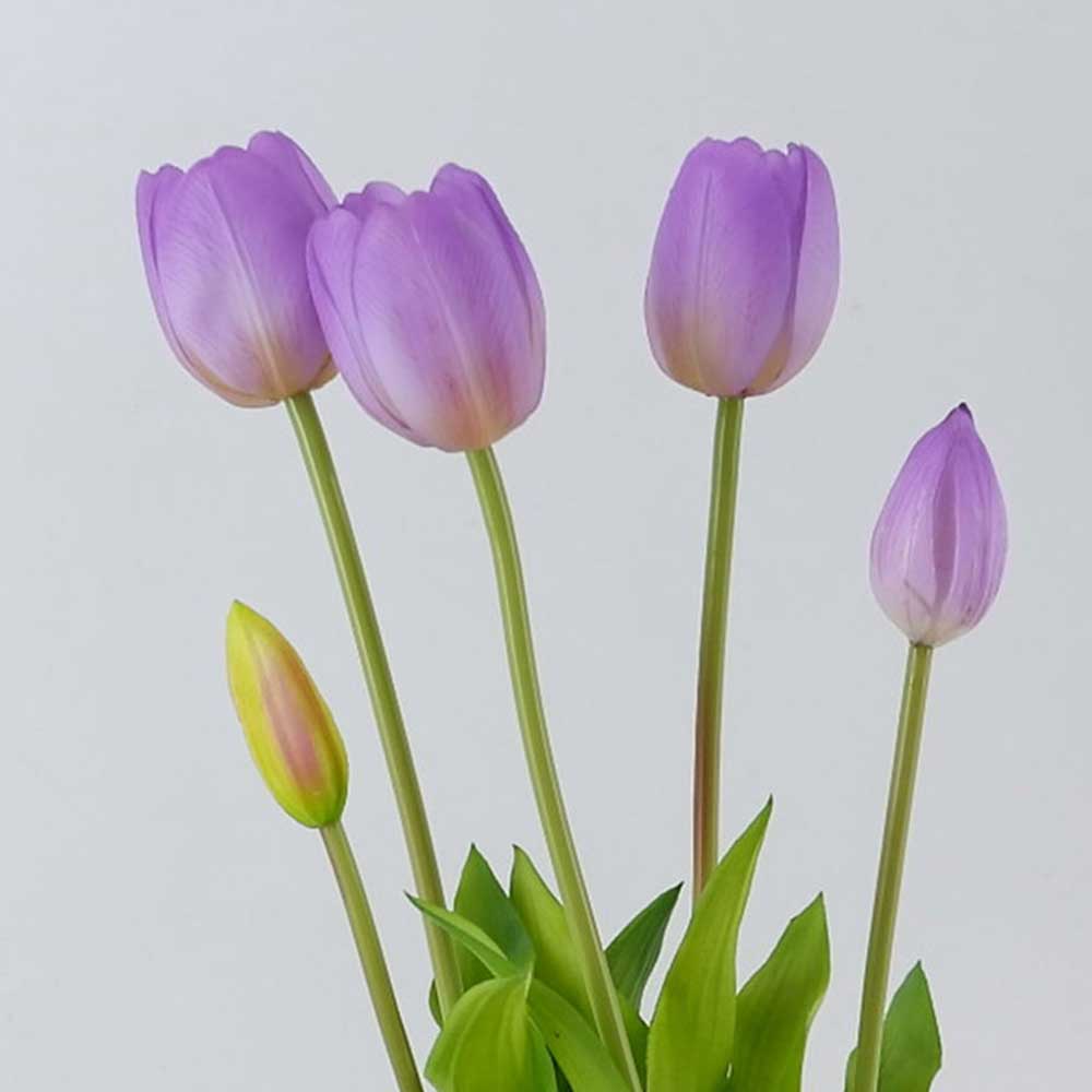 MC22-12117P Tulip in pot