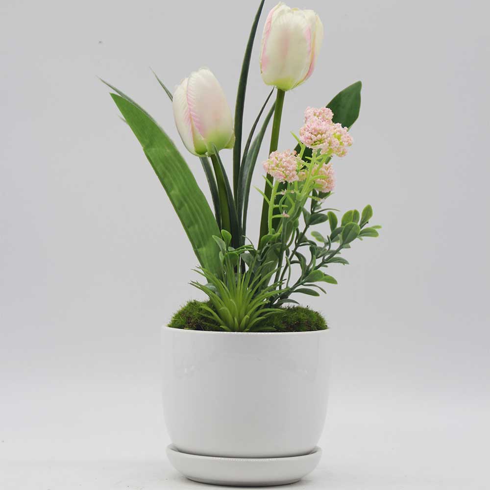 MC0132 Tulip in Pot