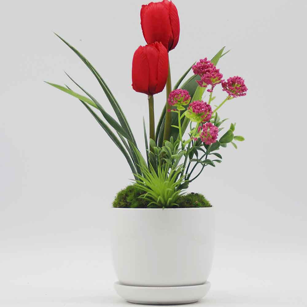 MC0132 Tulip in Pot