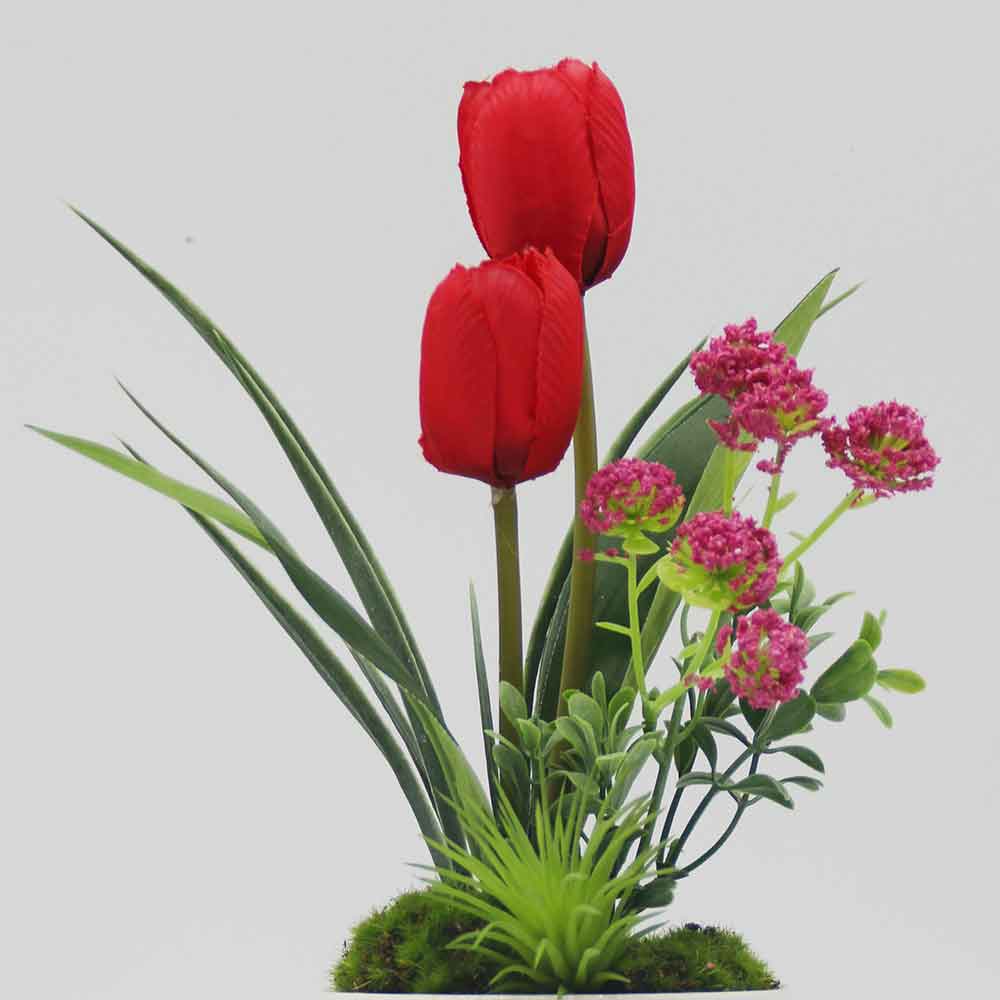 MC0132 Tulip in Pot