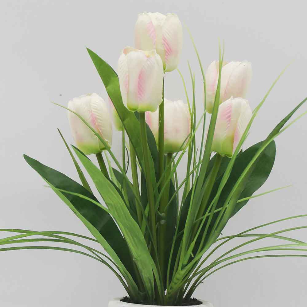 MC0133 Tulip in Pot