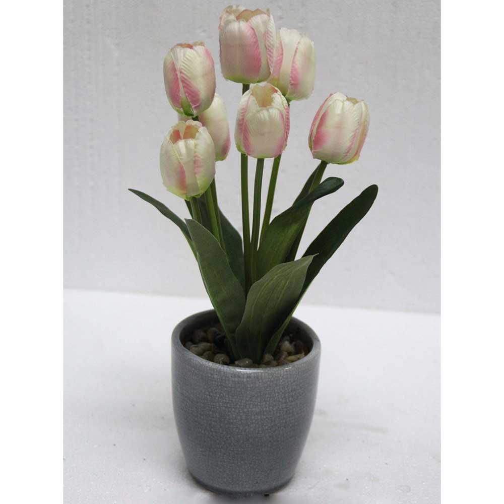 MC2464 Tulip in Pot