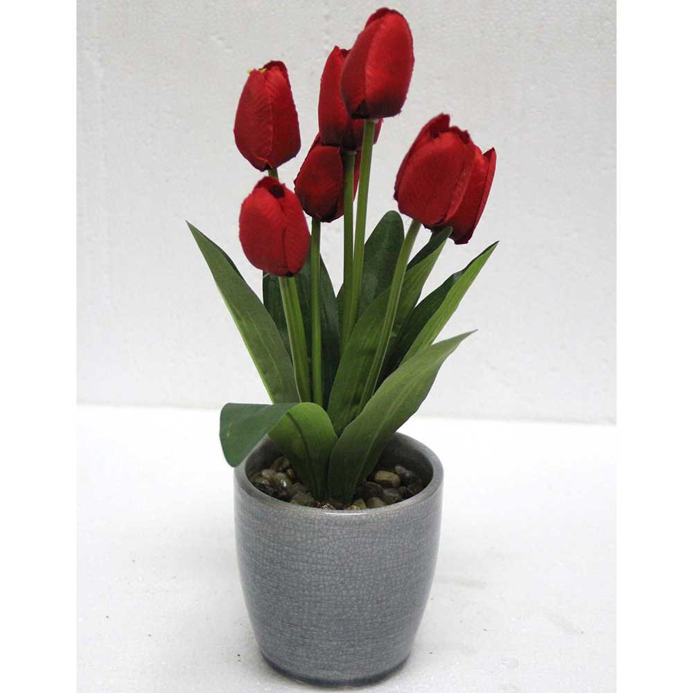 MC2464 Tulip in Pot