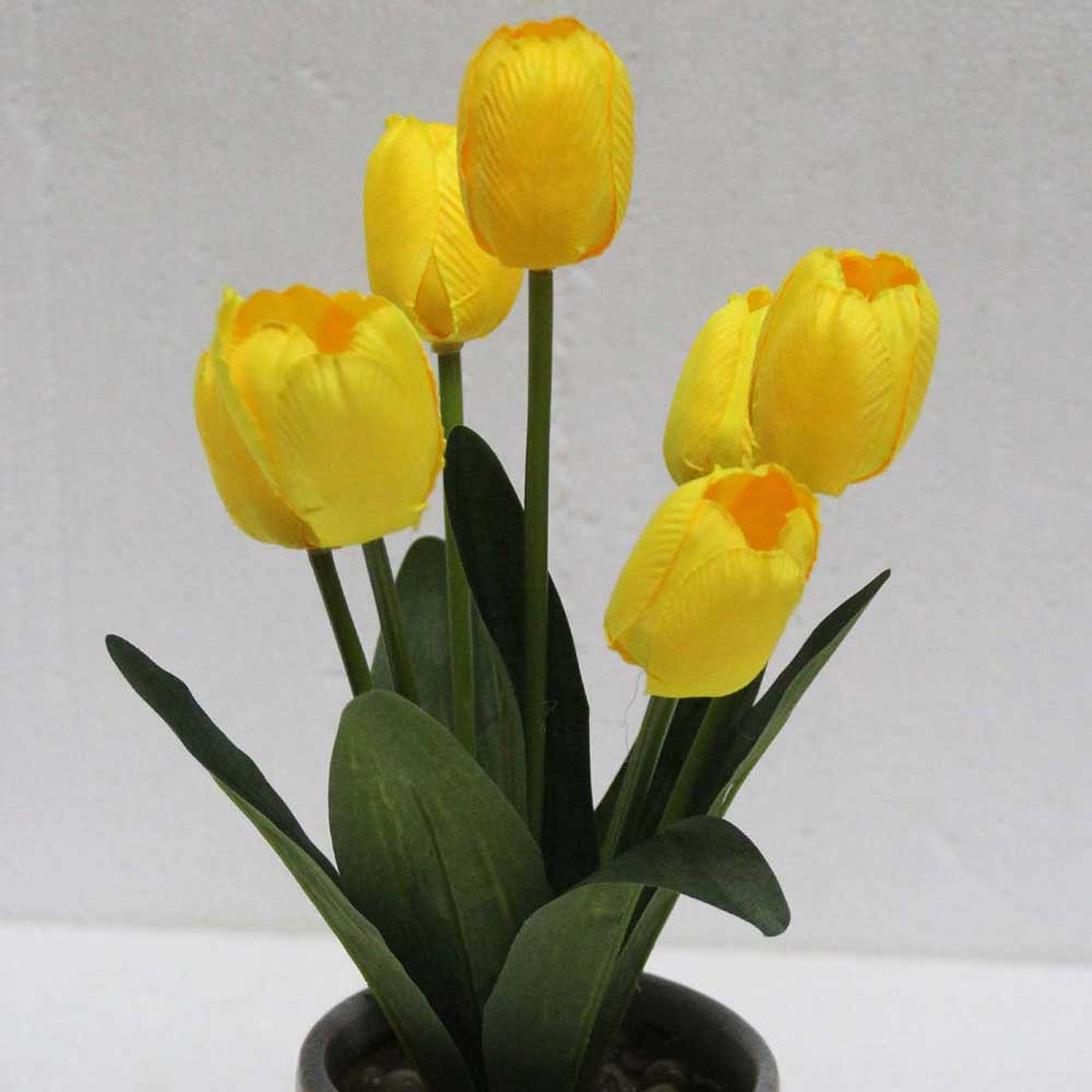 MC2464 Tulip in Pot