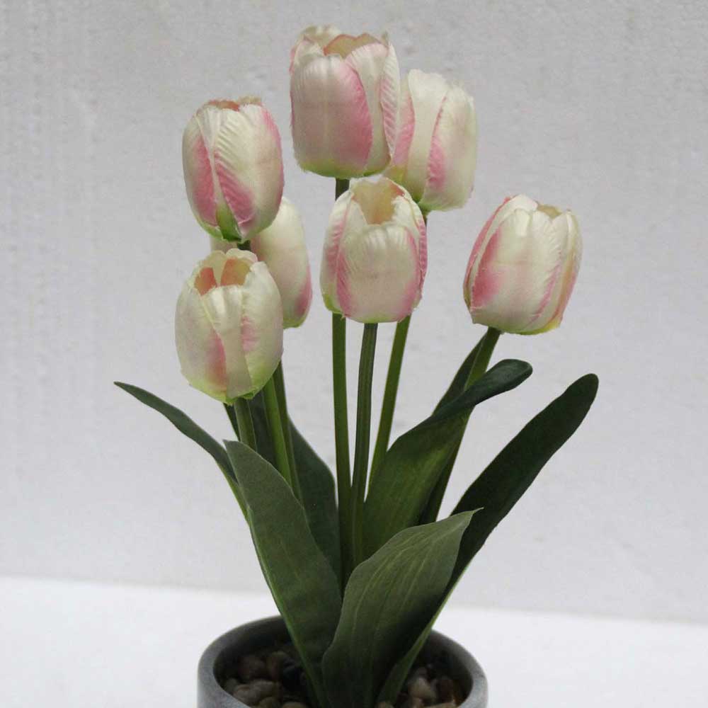 MC2464 Tulip in Pot