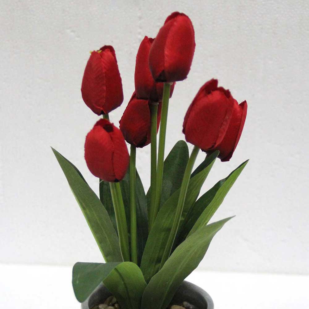 MC2464 Tulip in Pot