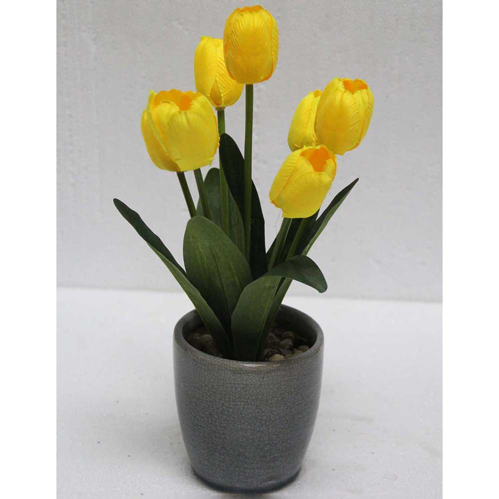 MC2464 Tulip in Pot