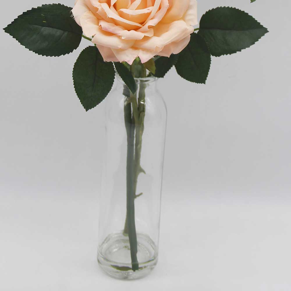 MC0258 Rose in Glass