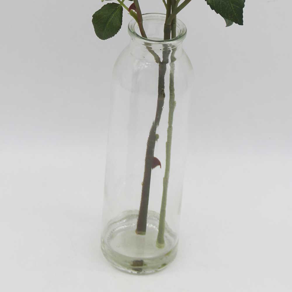 MC0259 Rose in Glass