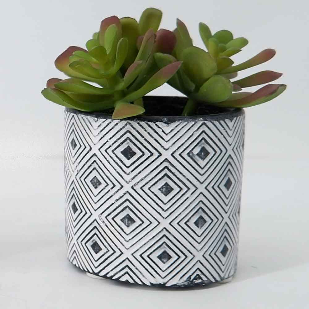 MC19-7888P Succulent Lotus