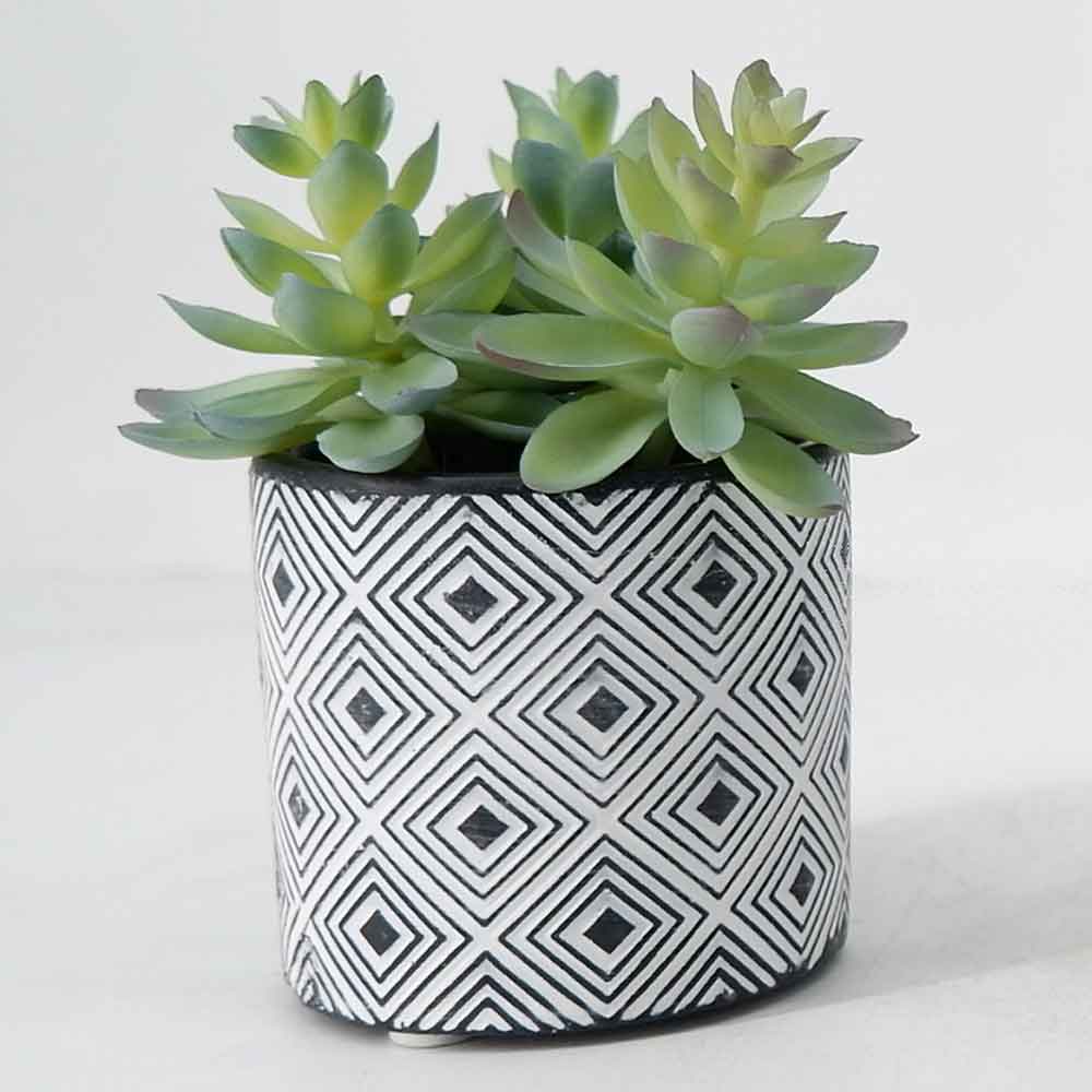 MC19-7888P Succulent Lotus