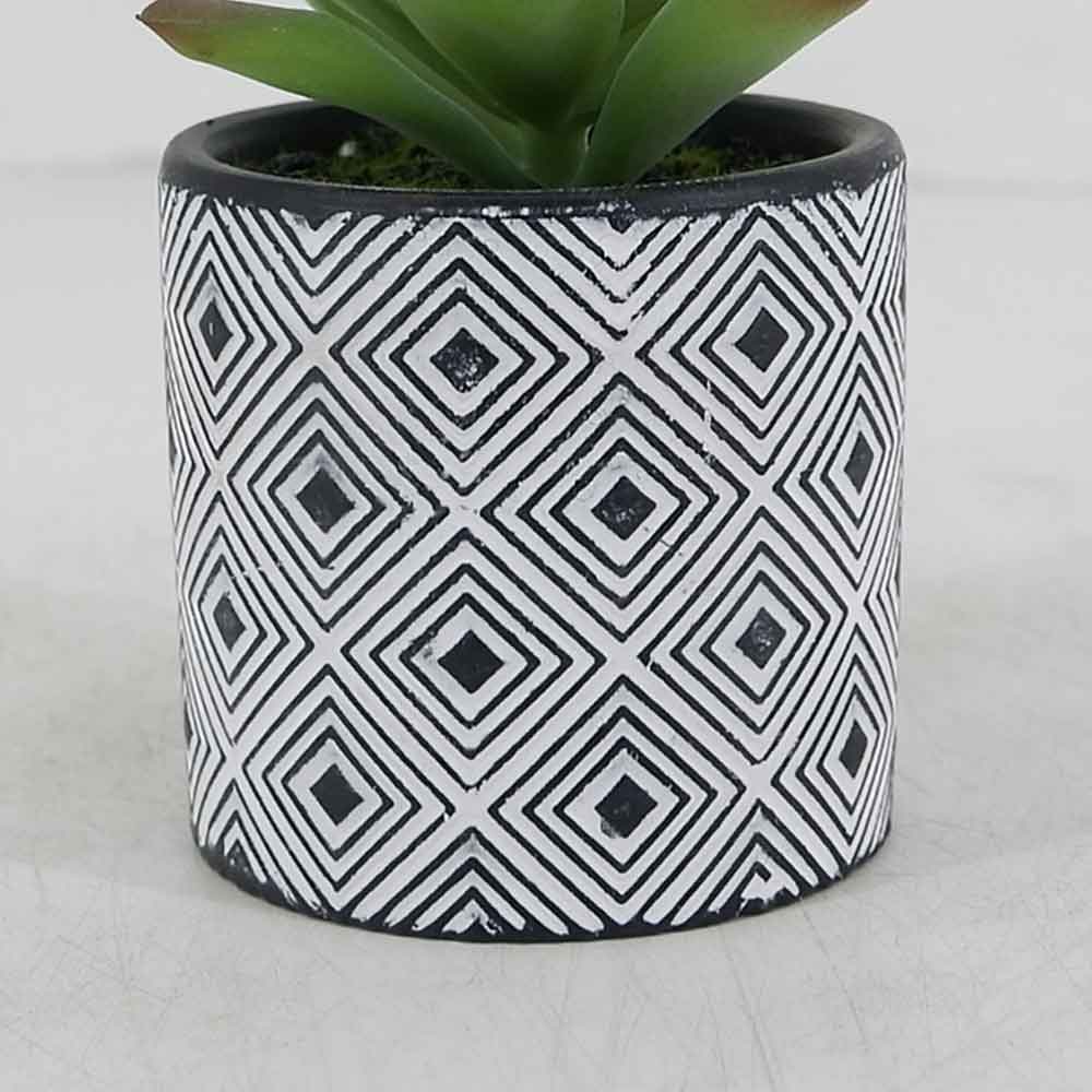 MC19-8193P Succulent Lotus