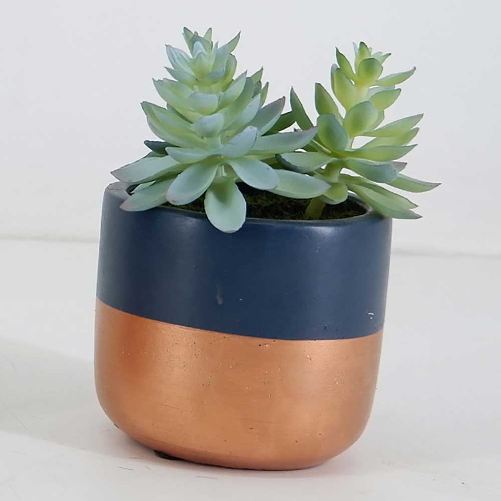 MC19-8197S Succulent Lotus