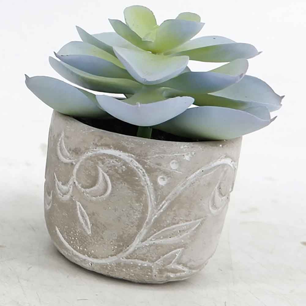 MC20-8528S Succulent Lotus