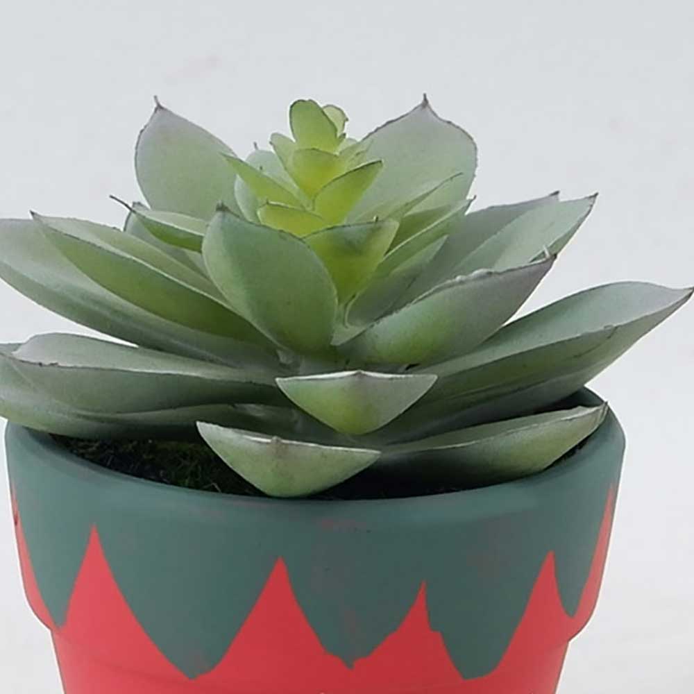 MC21-10835P Succulent Lotus