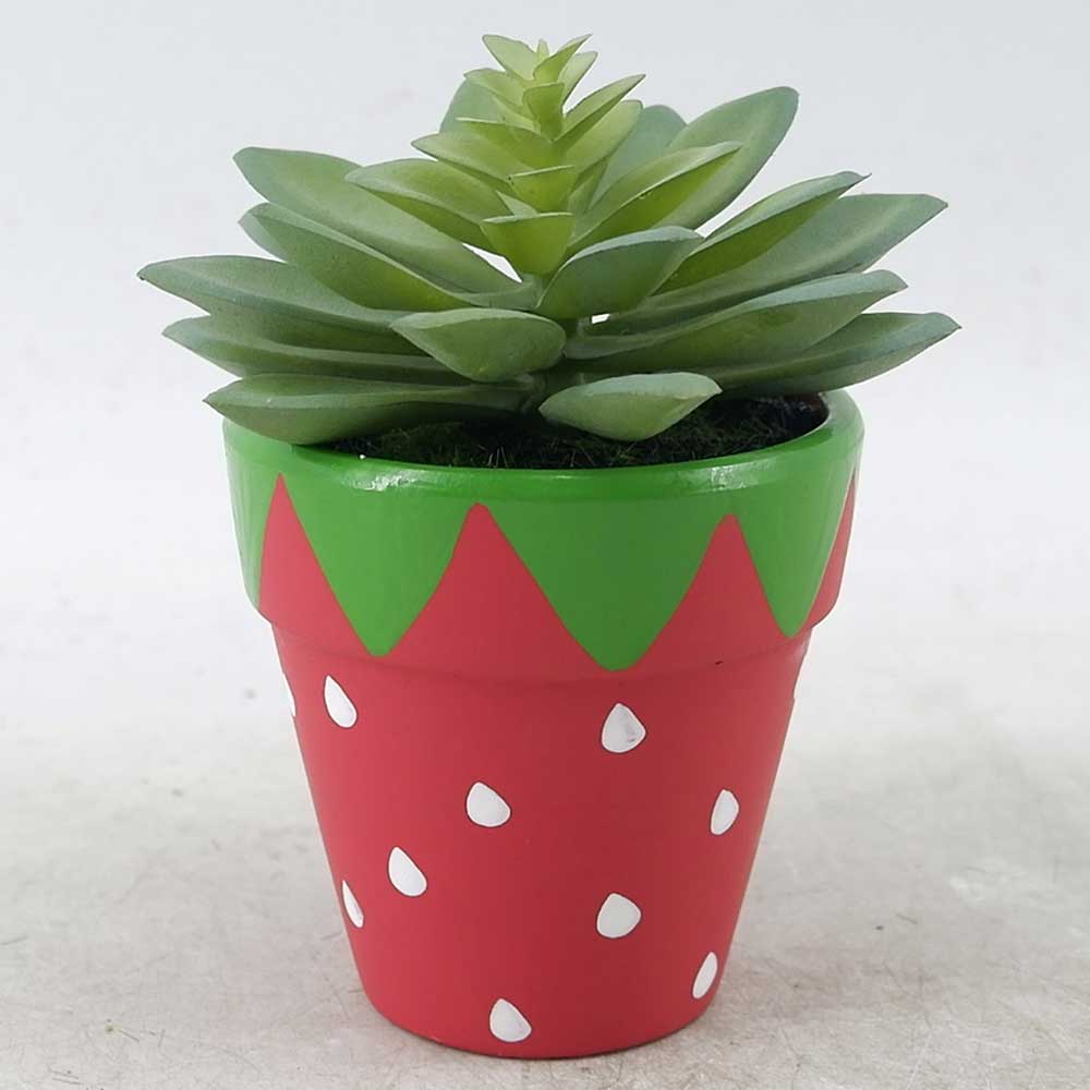 MC21-11304P Succulent Lotus