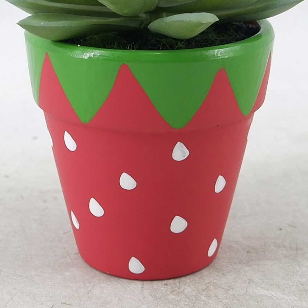 MC21-11304P Succulent Lotus