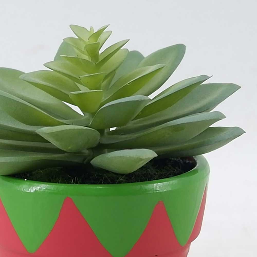 MC21-11304P Succulent Lotus