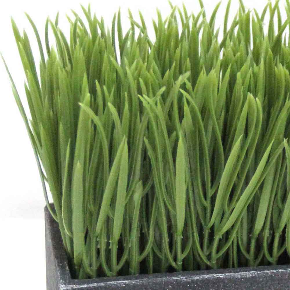 MC2782 Grass