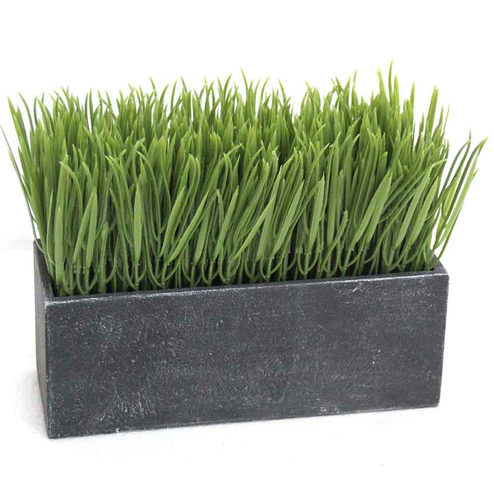 MC2782 Grass