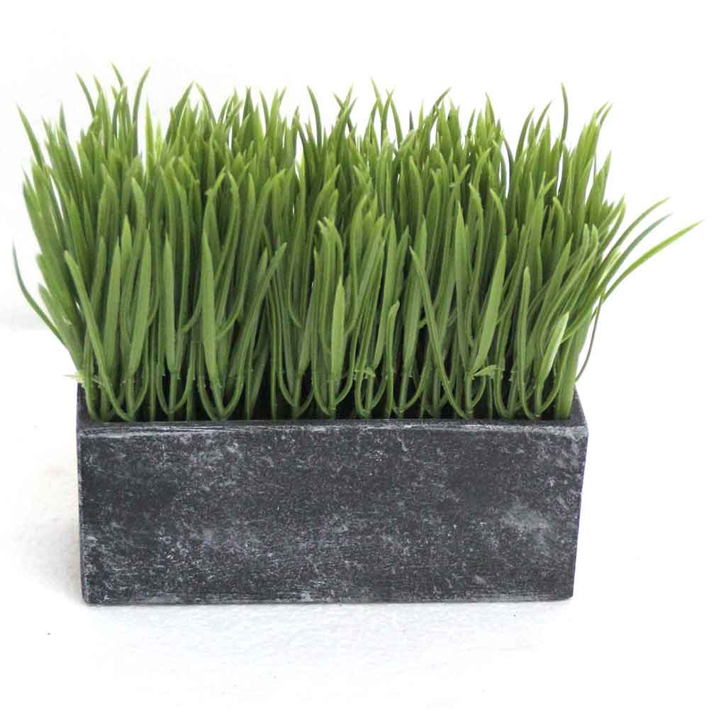 MC2783 Grass