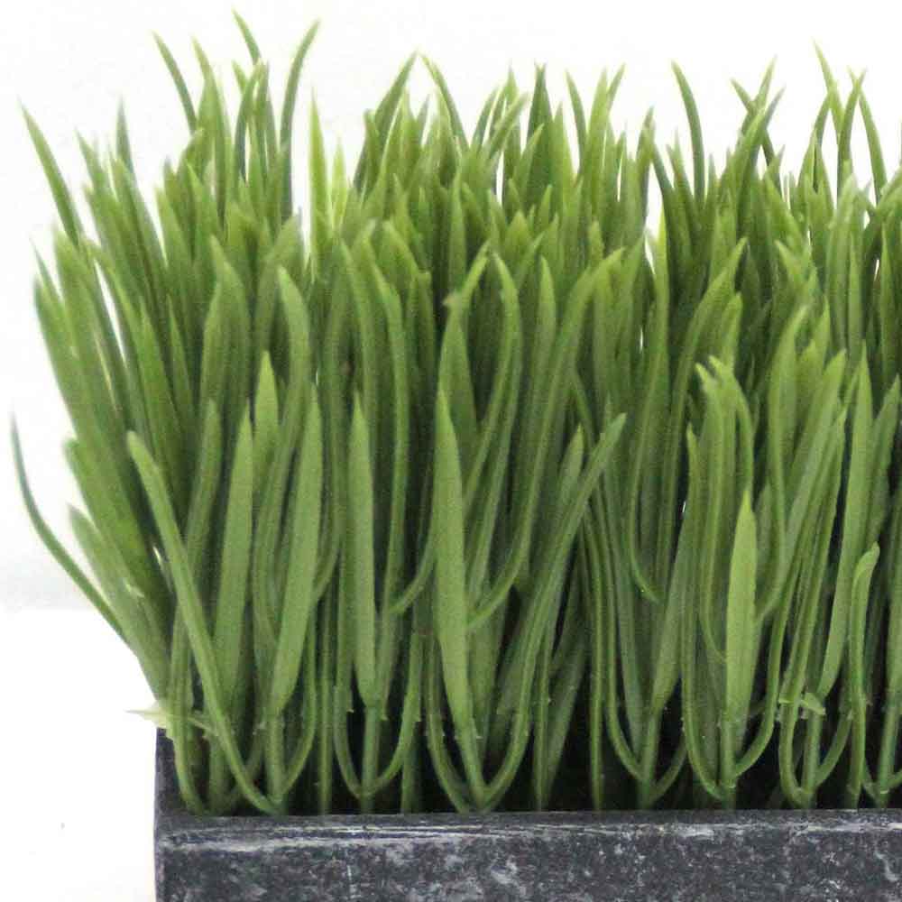 MC2783 Grass