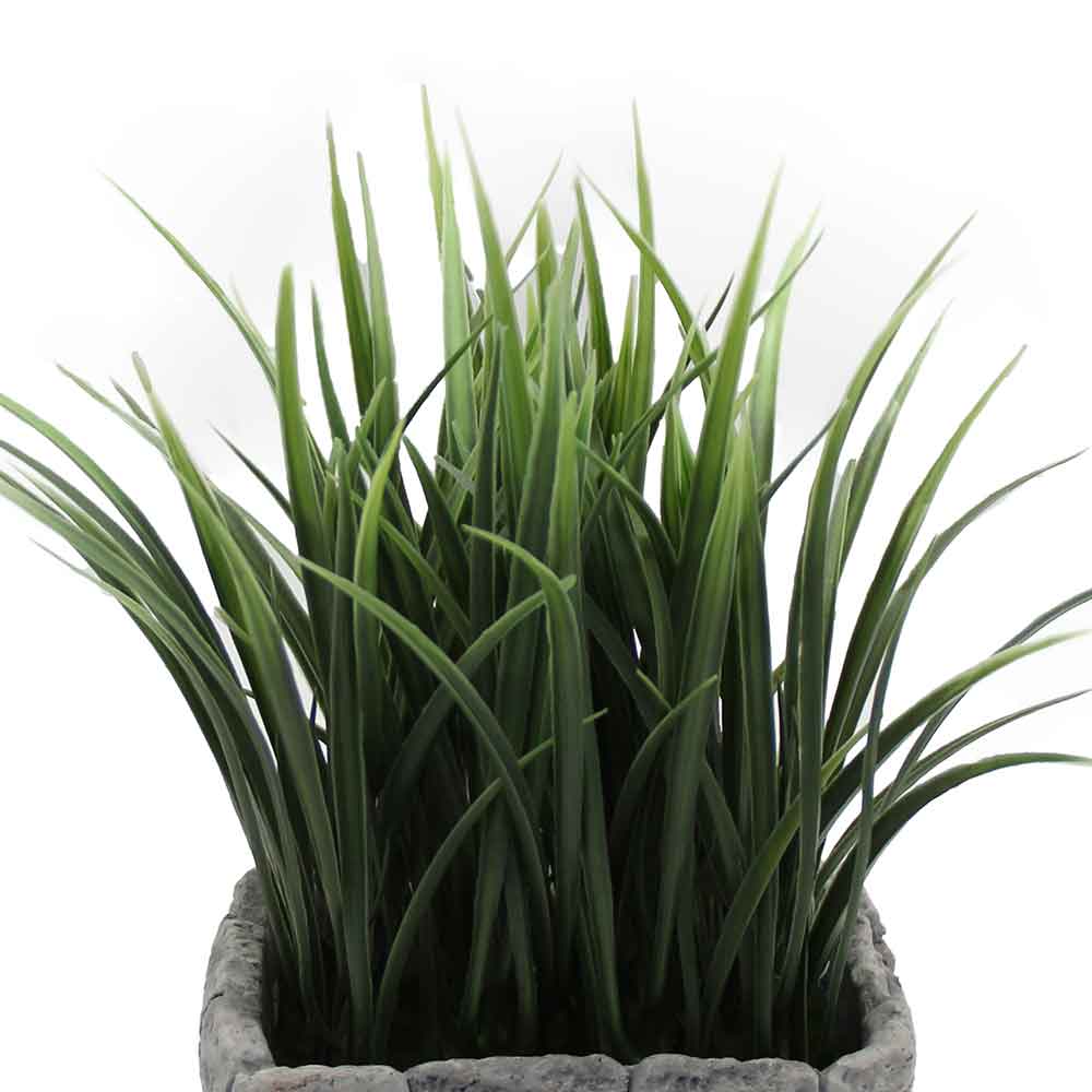 MC2981 Grass