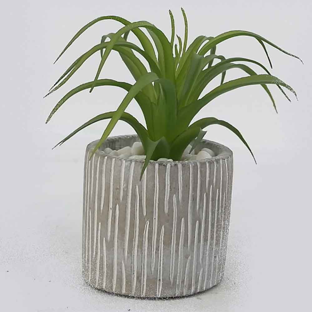 MC17-3406S Succulent Single