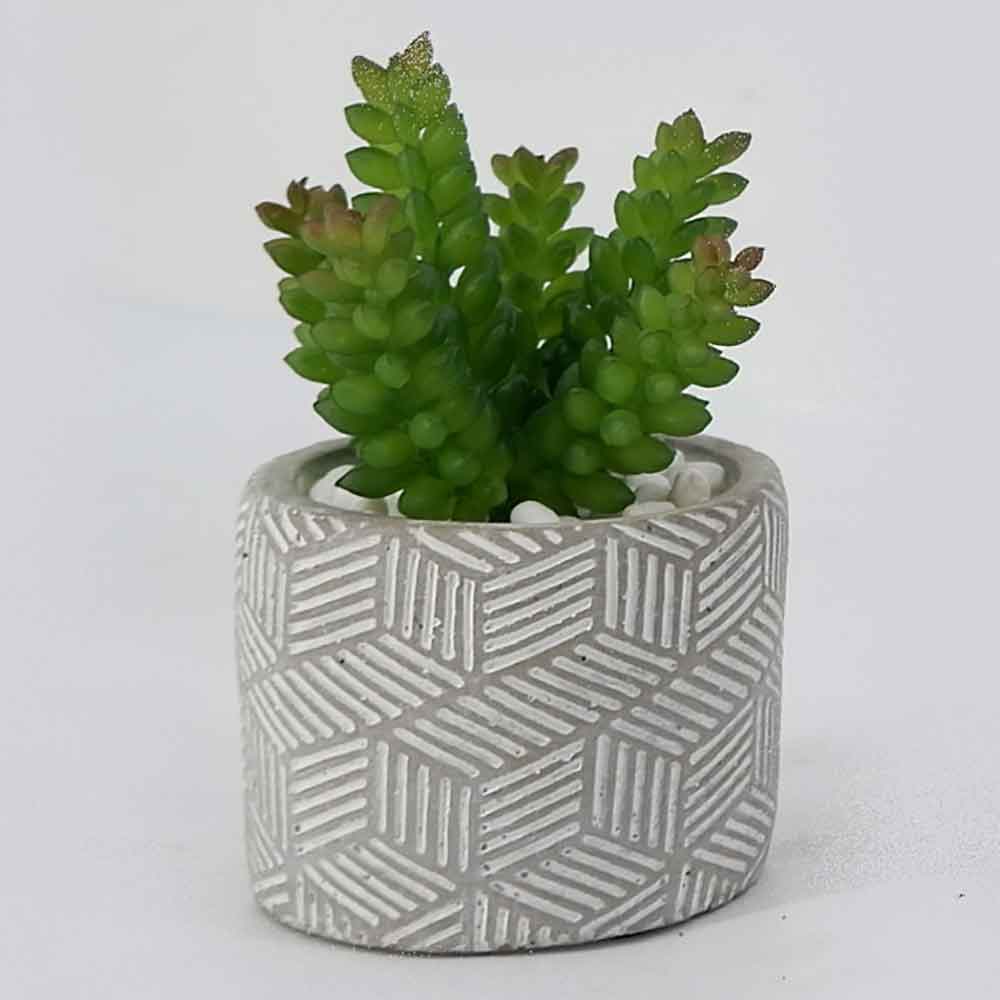 MC17-3412S Succulent Single