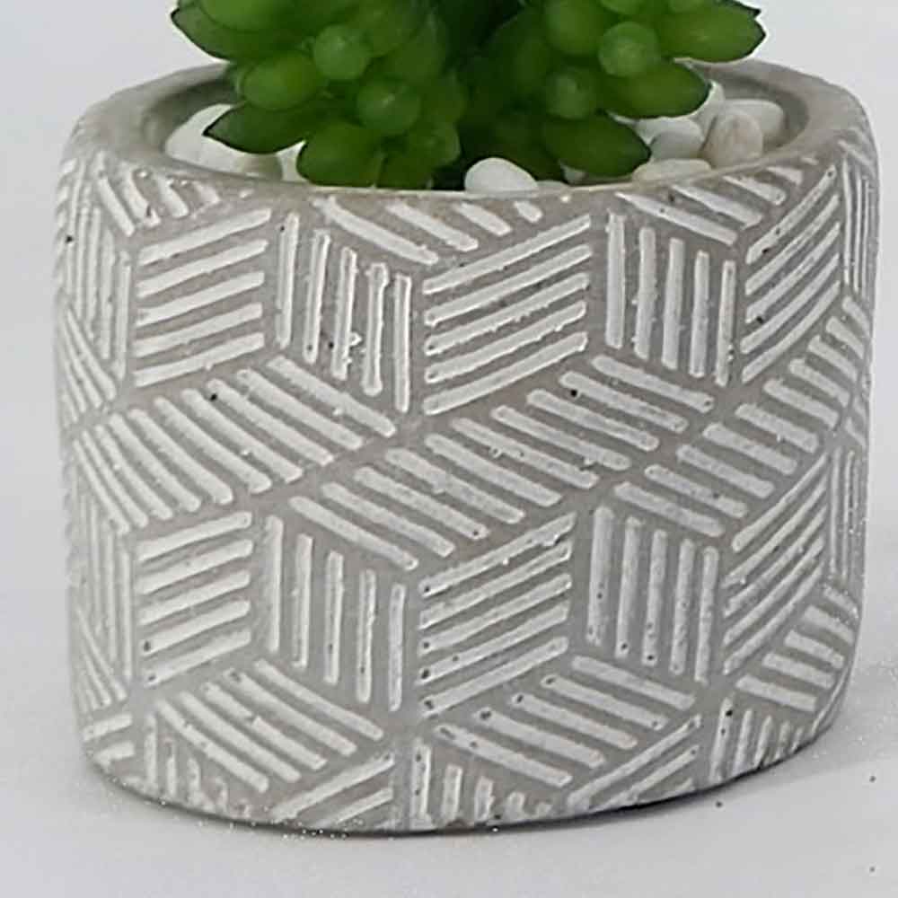 MC17-3412S Succulent Single