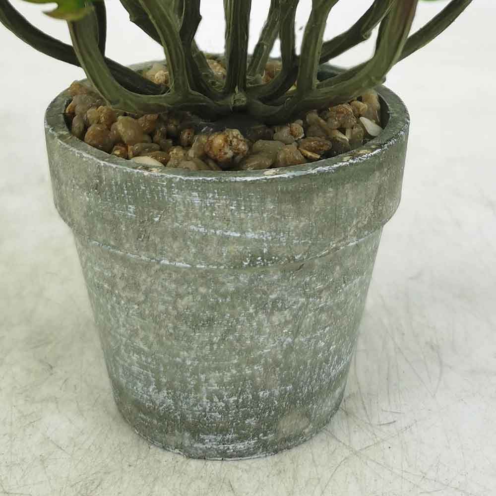 MC18-4670Z Succulent Single