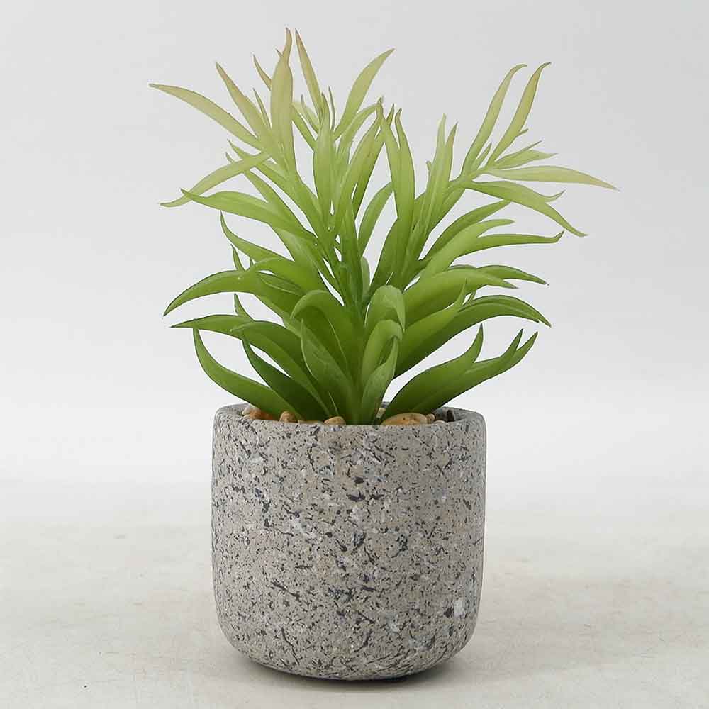 MC19-7472S Succulent Single