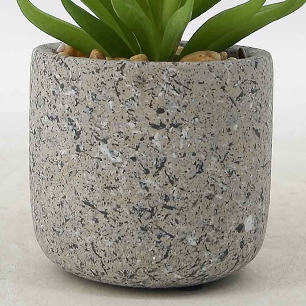 MC19-7472S Succulent Single