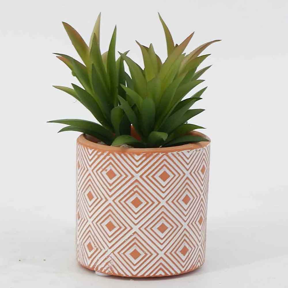 MC19-7594P Succulent Single