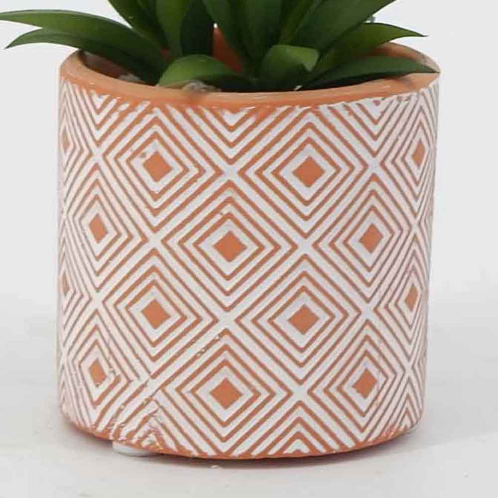 MC19-7594P Succulent Single