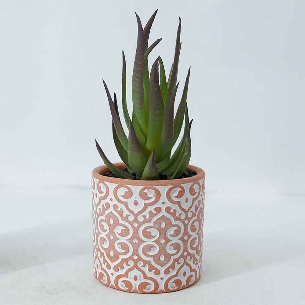 MC19-7885P Succulent Single