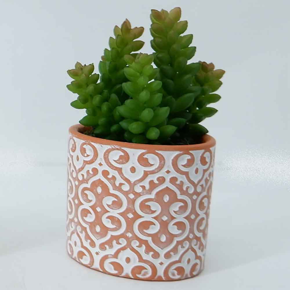 MC19-7885P Succulent Single