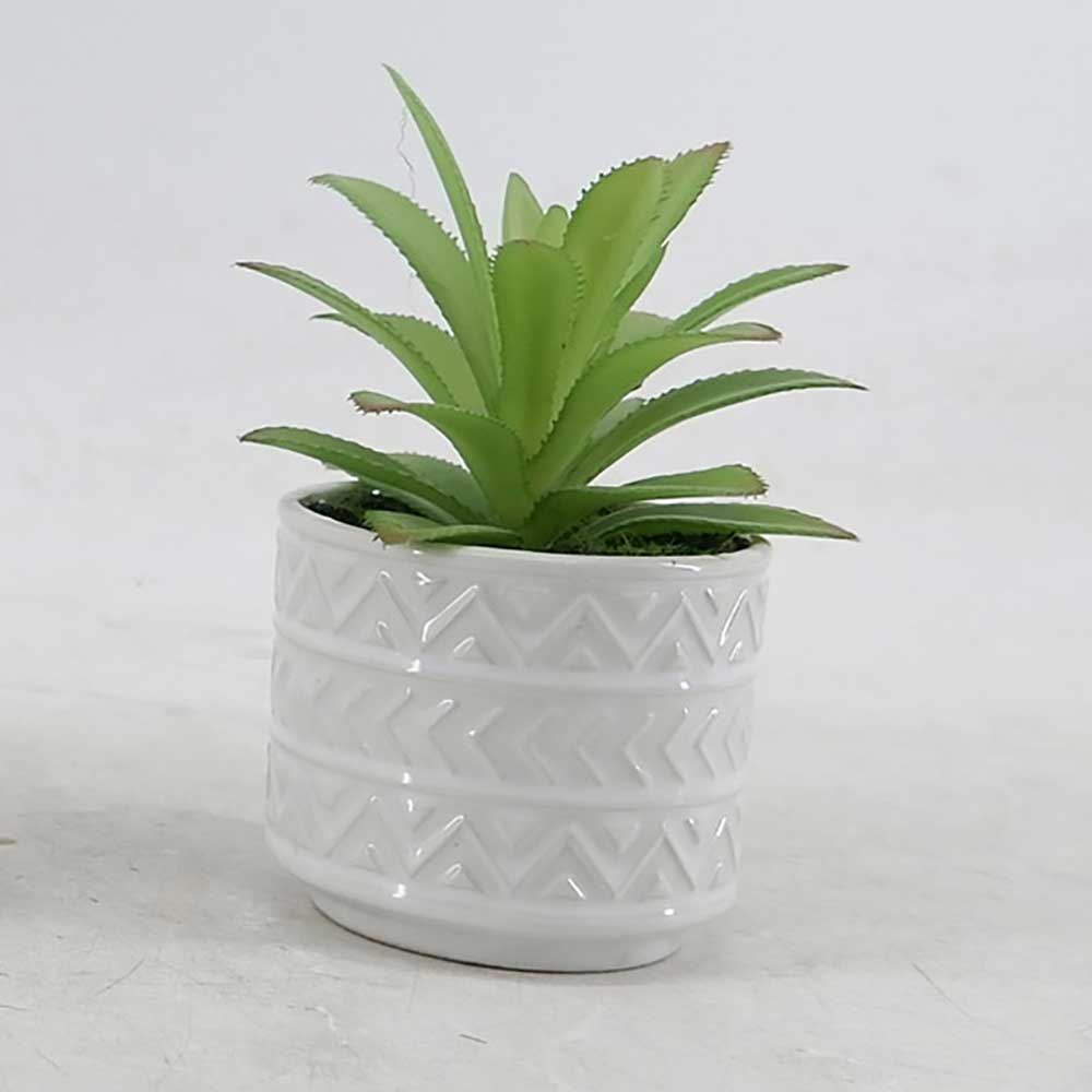 MC21-10914P Succulent Single