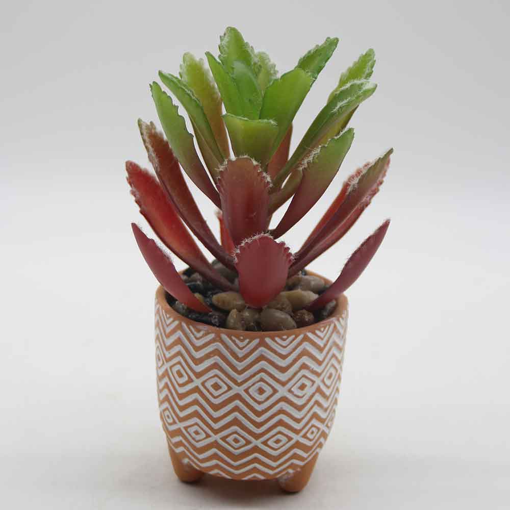 MC0057 Succulent Single