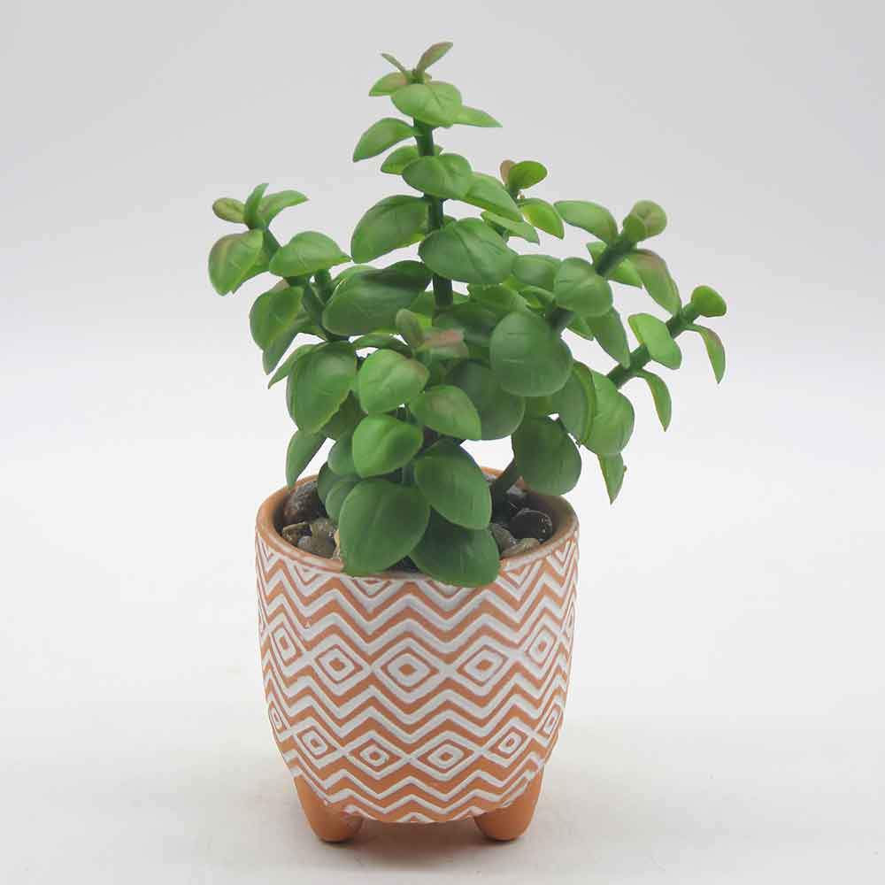 MC0056 Succulent Single