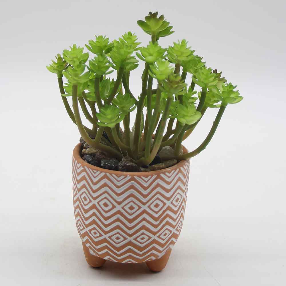 MC0058 Succulent Single