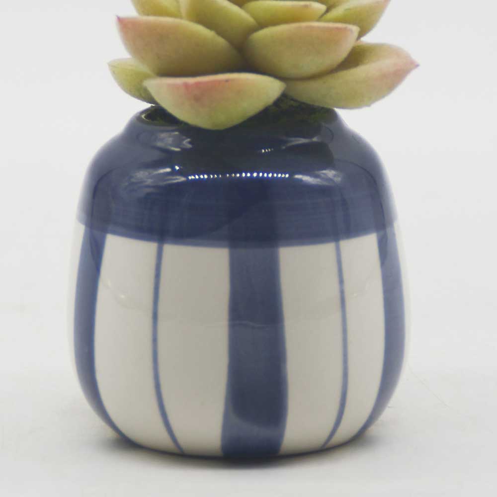 MC0111 Succulent Single