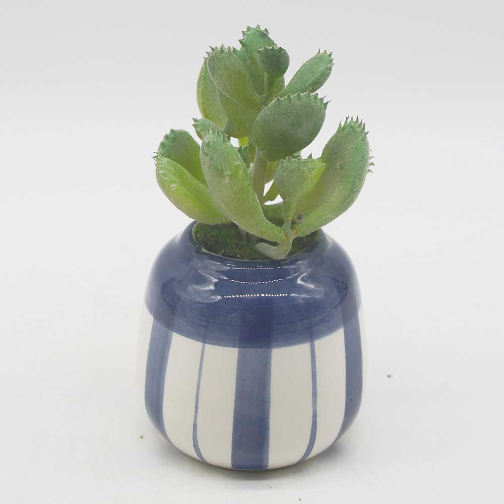 MC0112 Succulent Single